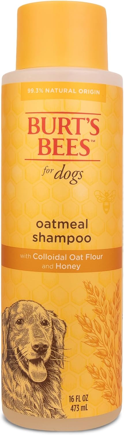 Burt's Bees for Dogs Care Plus+ Oatmeal Shampoo, Colloidal Oat Flour & Honey, 16 fl oz. Bottle