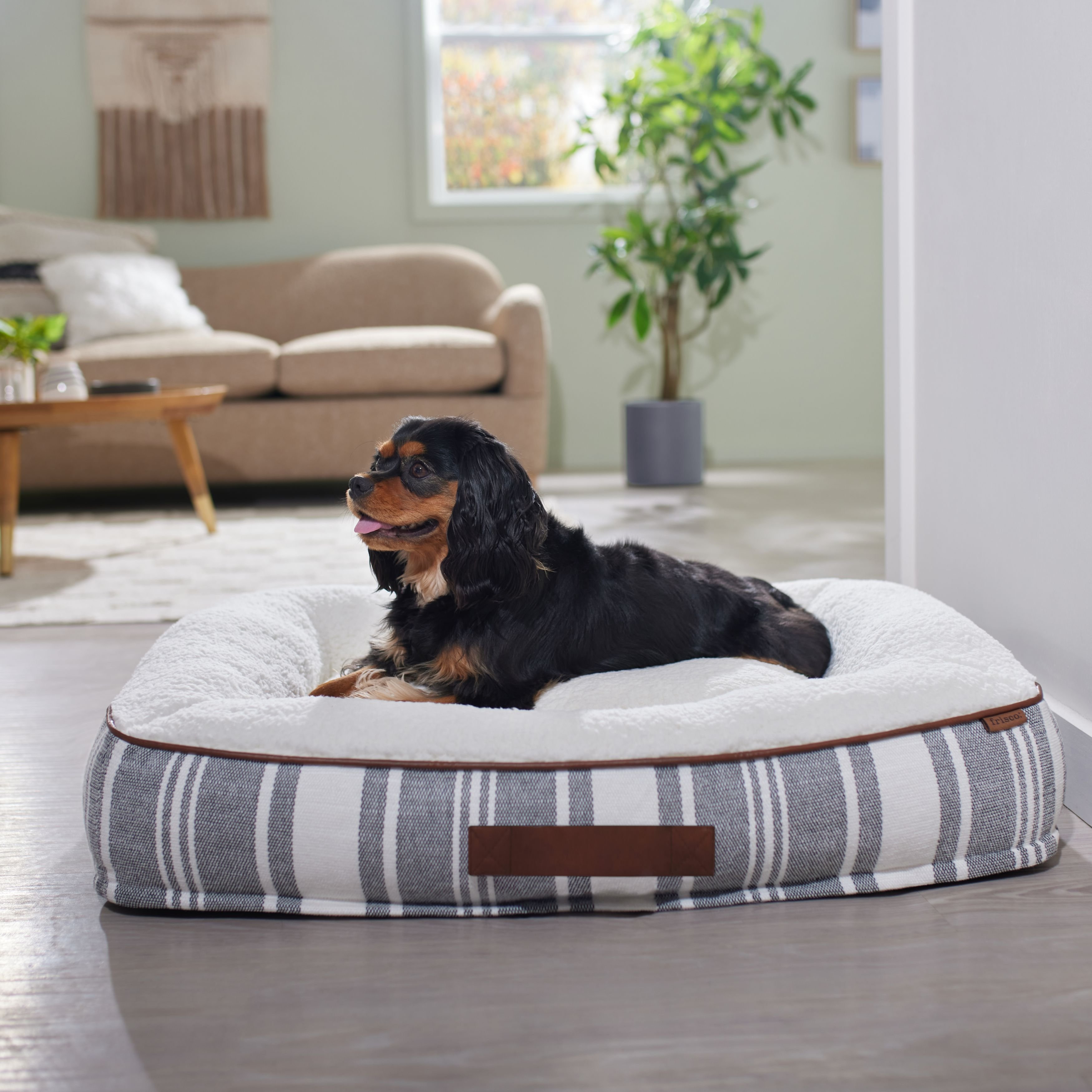 Frisco Rectangular Bolster Cat Bed, Soft Washable Pet Bed with Raised Edges, Gray, One Size